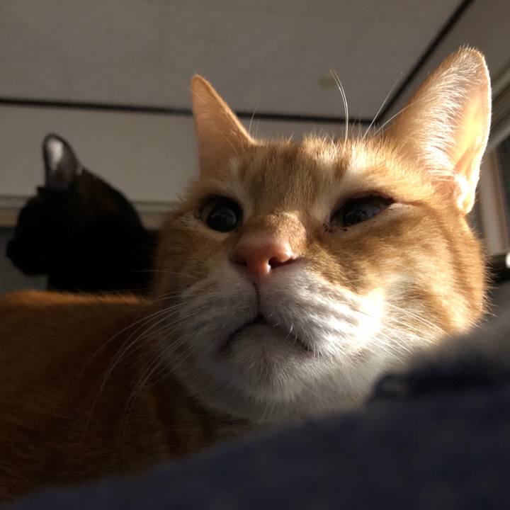 Fbceab82 27fc 455e bca6 eccae1a39a77 1736628453427