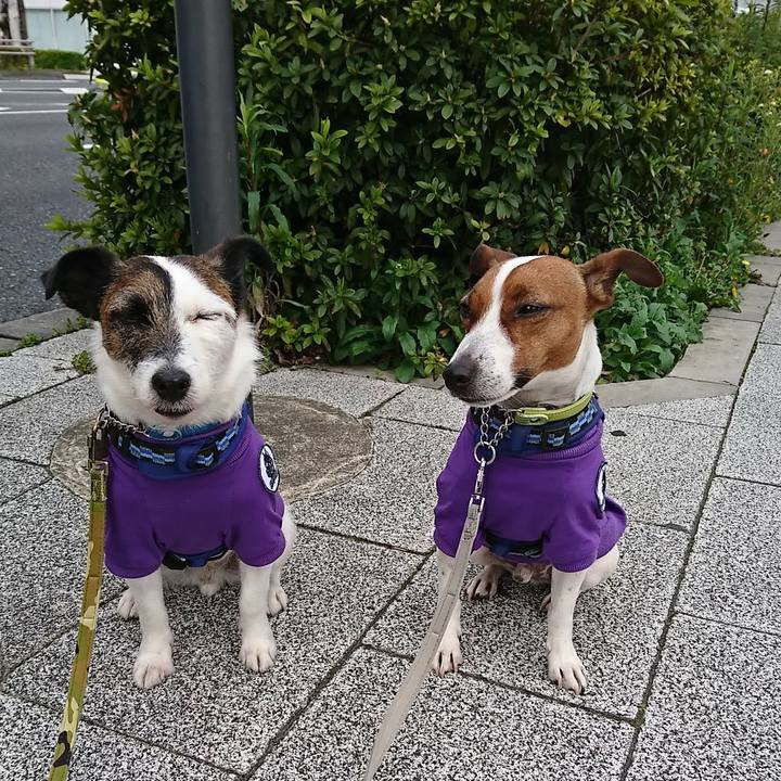 Fbceb80a 49b4 4e32 9663 89881d64a6b9 1585353825342