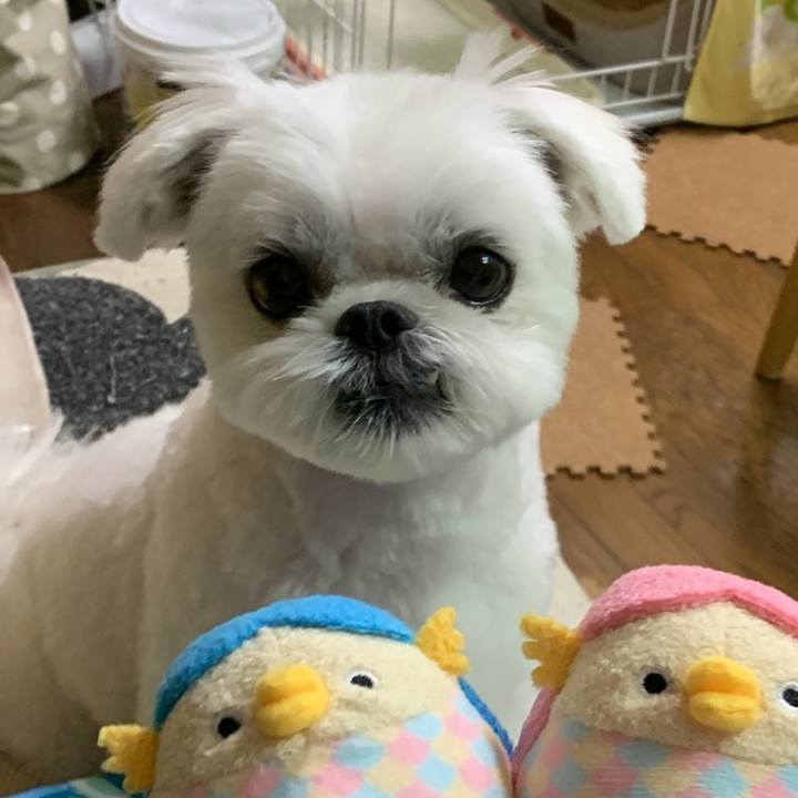 Fbceba12 31de 4ea9 b76f 7f2e85c27a44 1638619790294