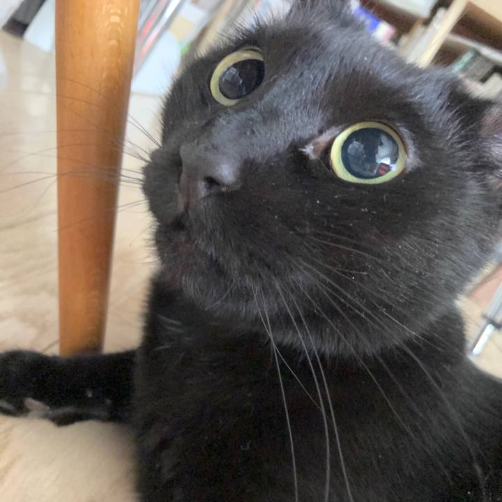 Fbcec4dd 9a5c 4cff a3f6 9961aa581756 1547255769820