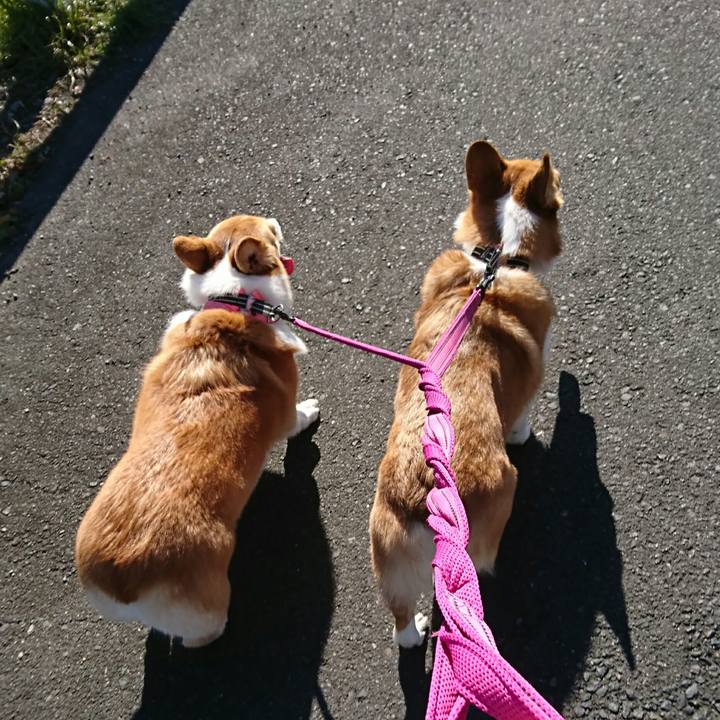 Fbcef5dc 559c 4328 8a4a 8aa6da0c4619 1545186974619