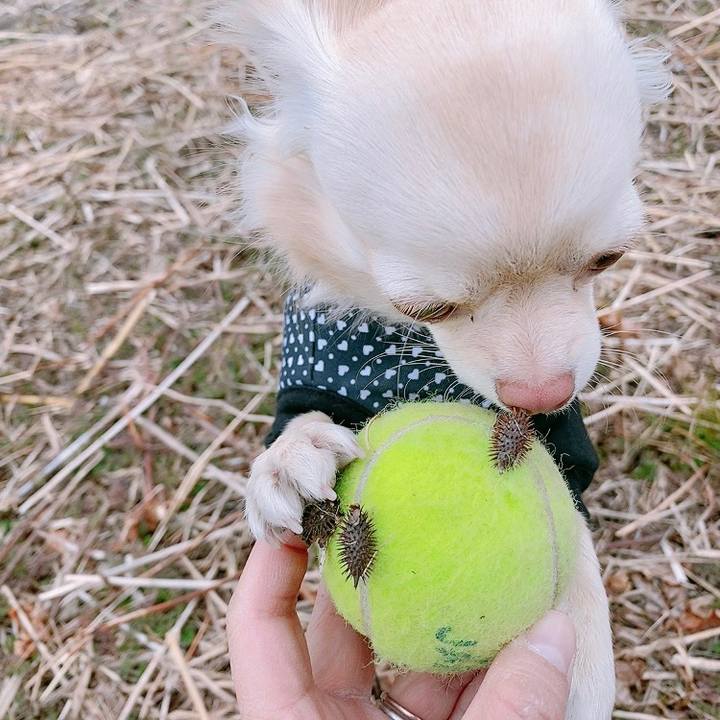 Fbcf2454 2159 4c2c a965 d1d1f8e3f4c0 1609923151742