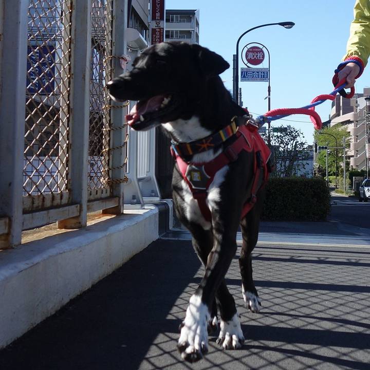 Fbcf9eec 4b09 45da a482 c749e75d4763 1587257757037