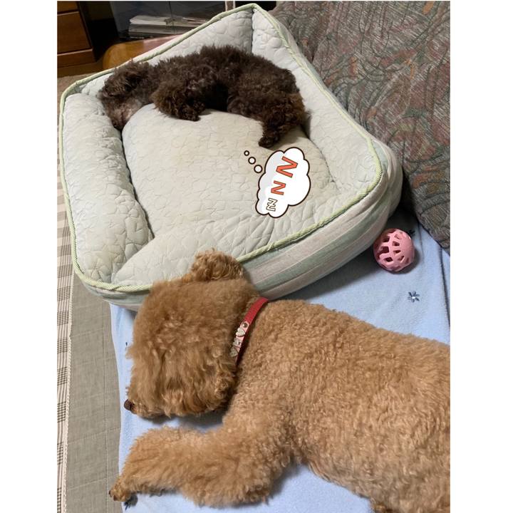 Fbcfb0a1 88e7 475c bdfd 253ca133daea 1565439142522