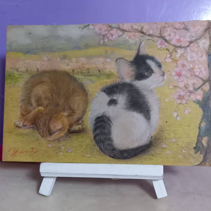 Fbcfb116 5c19 49af 8b83 247df438fb88 1649838935394