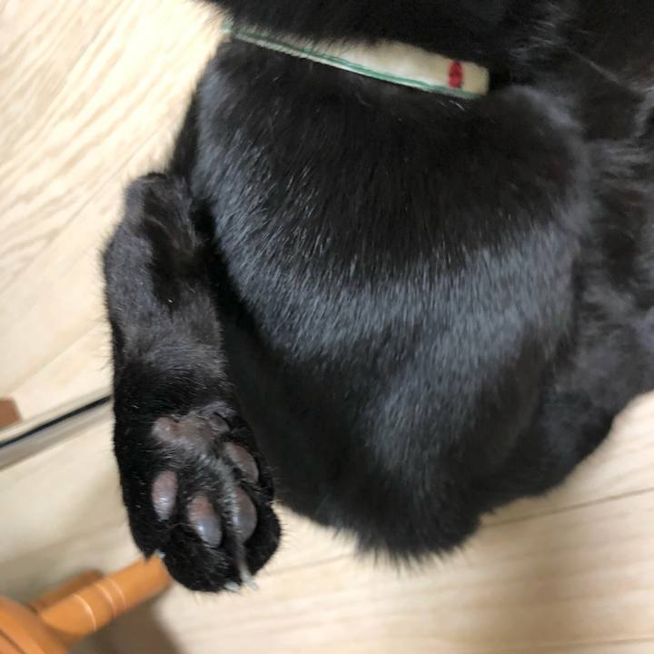 Fbcfed50 37b3 45b6 9b75 957d5b466e75 1611923823601