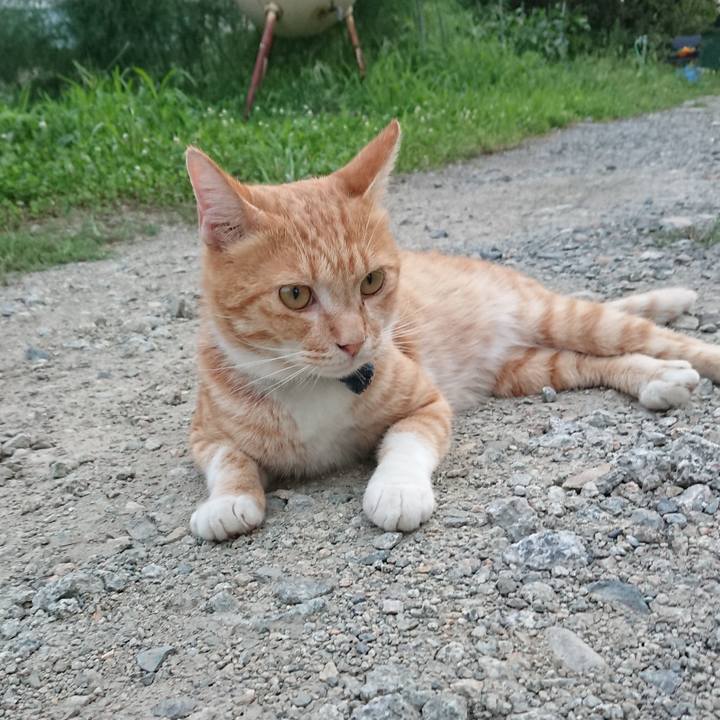 Fbcff788 a6b2 4627 88c2 c7d220823843 1566637709613