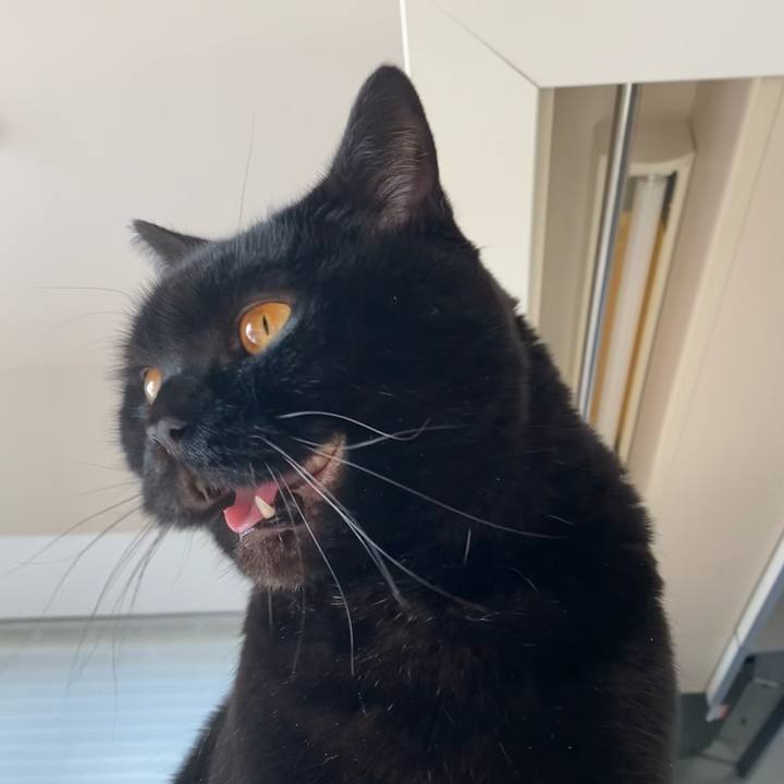 Fbd016f5 e7a1 4dbb a03f 12b248401bf3 1742683709676