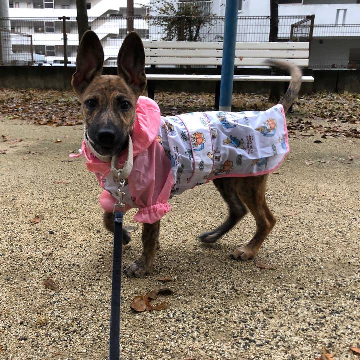 Fbd03ef7 3ec0 48da be5c 7f89f93ffe62 1569748824335