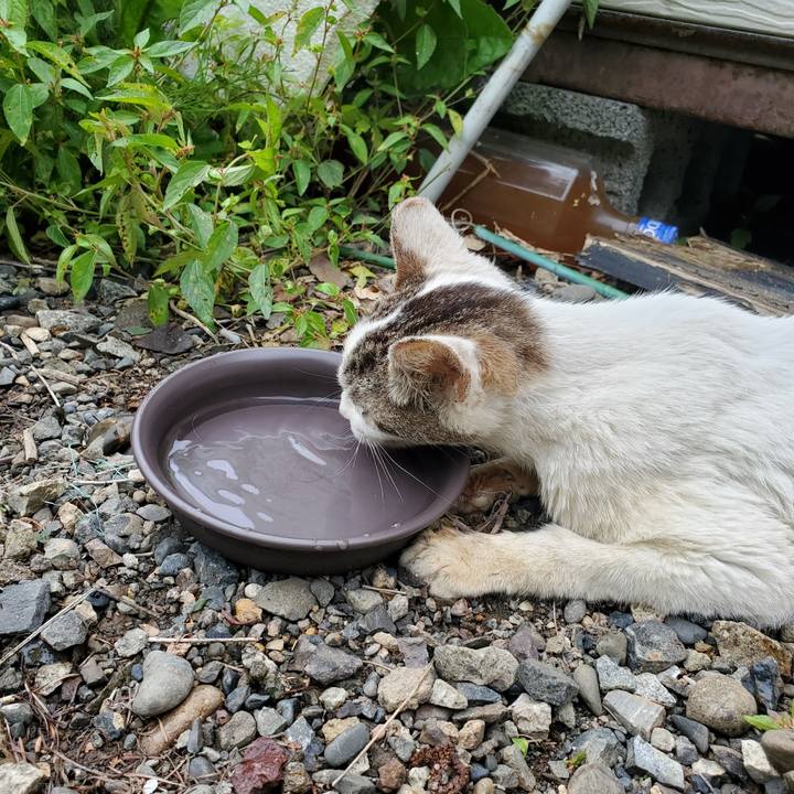 Fbd06e0d f2f0 4c3a a253 6ec32b45a7c5 1756396464574