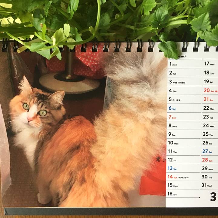 Fbd07828 82d6 40dc 925f 01130050d9e9 1614664337570