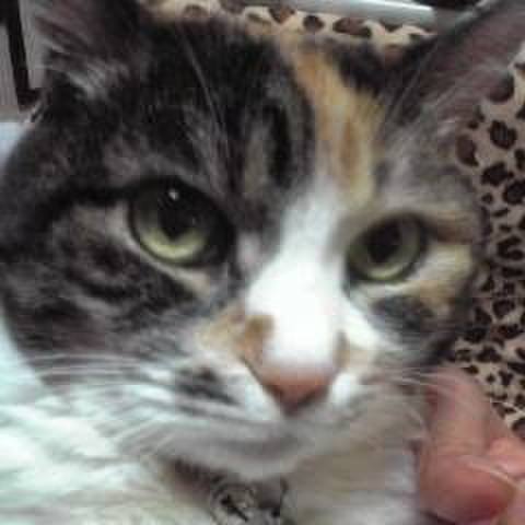 Fbd08f31 d620 4a62 afaa 4ae97b0e24ad 1534158581324