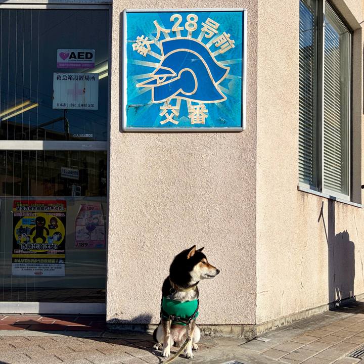 Fbd0c674 f79d 44f3 bbc2 f6eb2f7d655e 1768050019033