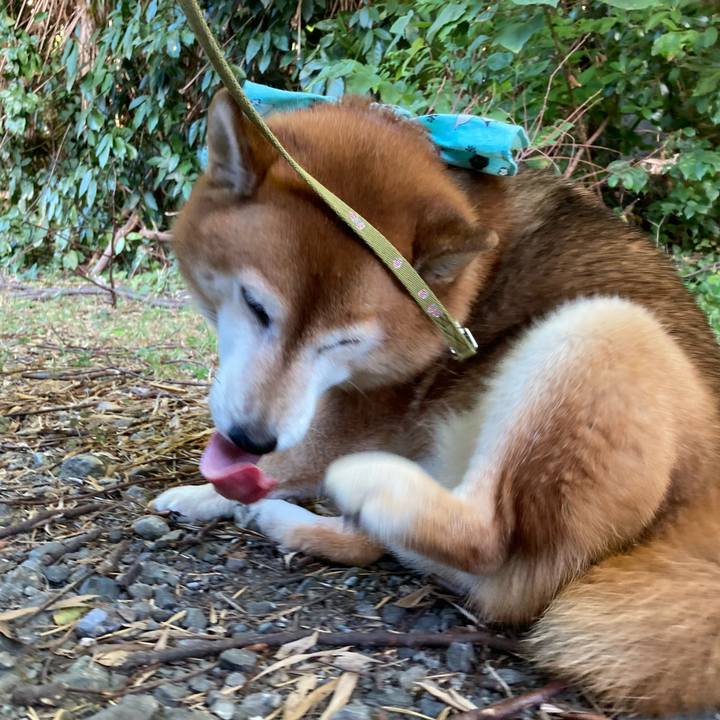 Fbd0c6f0 a4ba 49ae 9151 9e7ece0ae5e3 1691744927900