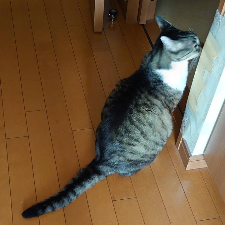 Fbd0cb95 fc8c 4a41 8af5 bd8d8363df01 1719899631935