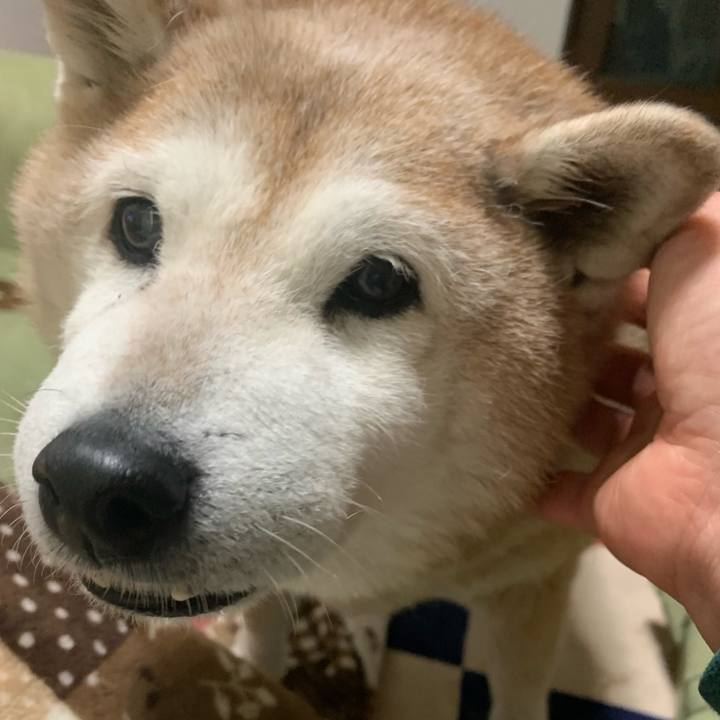 Fbd0d146 6863 4ee3 b1f1 1ad6081bc605 1642765673751