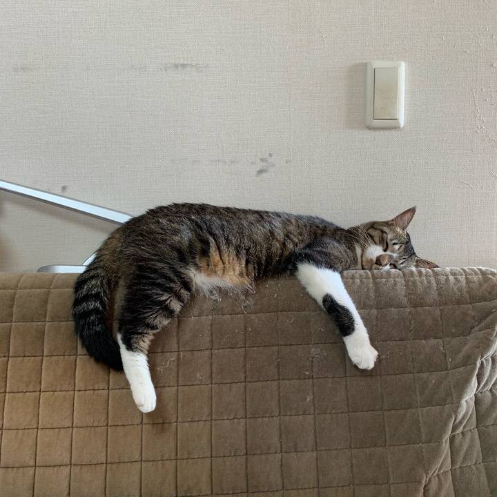 Fbd0f1e2 b916 4792 8675 65c926ac5e4b 1543462773504