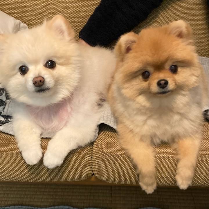 Fbd0f636 376e 4bca 8f37 aa493b3aa7f6 1708772648959