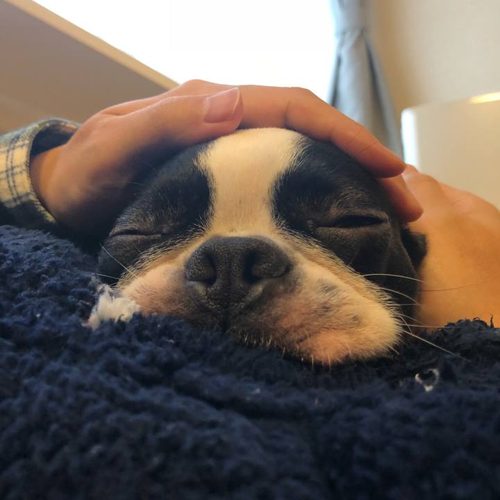 Fbd10cda cbf1 4b61 aaae 945f77c2b137 1521507660380