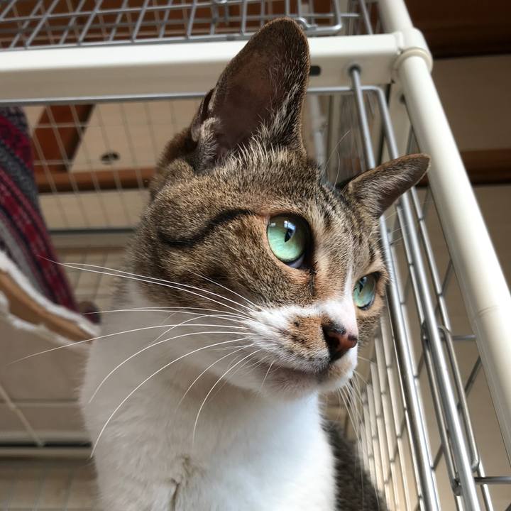 Fbd11b7f 5bd5 4e03 a180 bf18c508f8cd 1509411617853