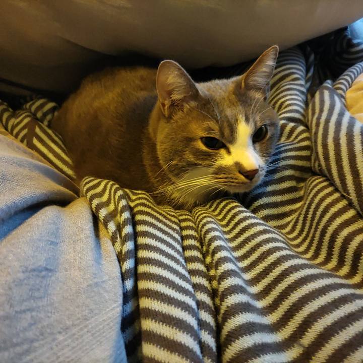 Fbd11f53 369f 4f19 88d2 900e9b8f4871 1703116924525