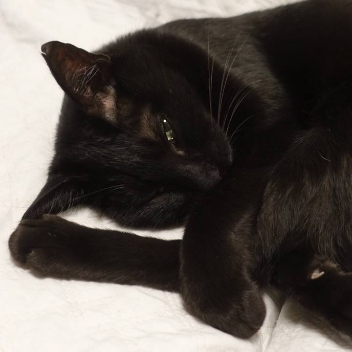 Fbd128d2 fdaa 49c9 a175 8d4e382b01b8 1554220816569