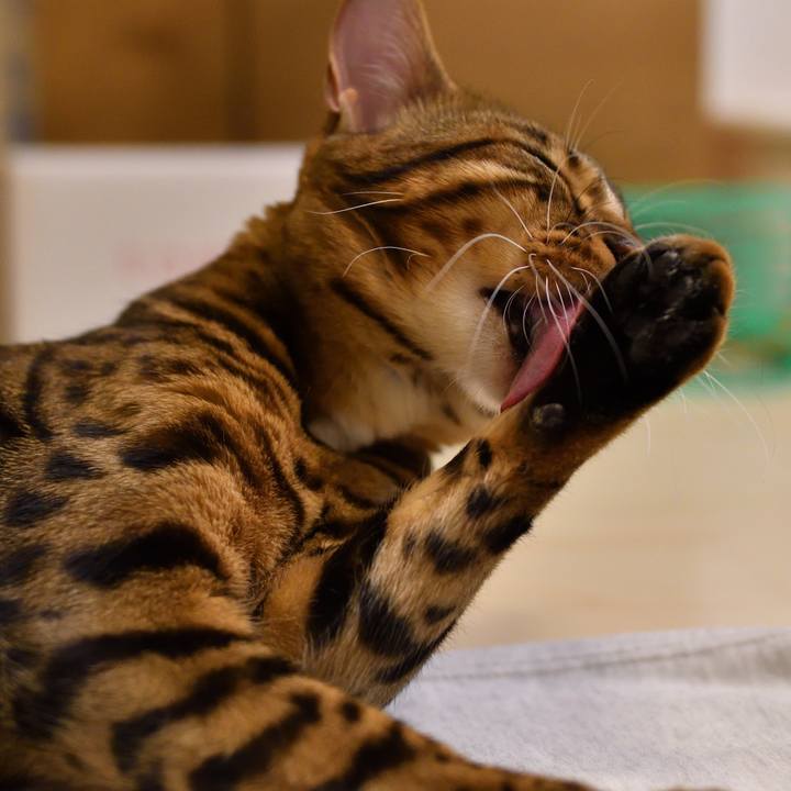 Fbd143e9 7129 4c8e b1db 9e4a7082c851 1511101318977