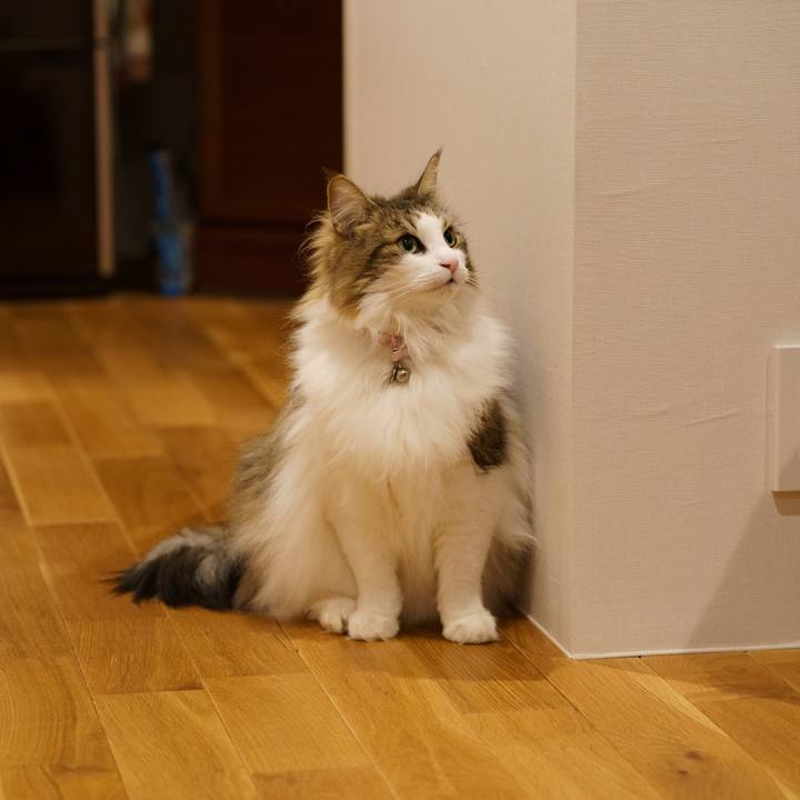 Fbd16169 9055 404b bbed 65dd13cac0d6 1647868040788