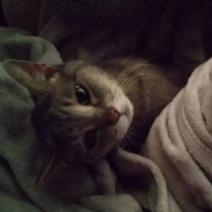 Fbd167bc e737 45ef a040 f8286c340758 1685310416926