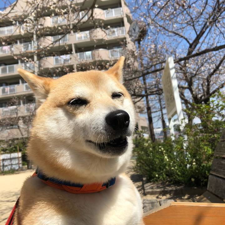 Fbd181cf 2156 4087 8f1a 6f5feb4465c9 1553568583748