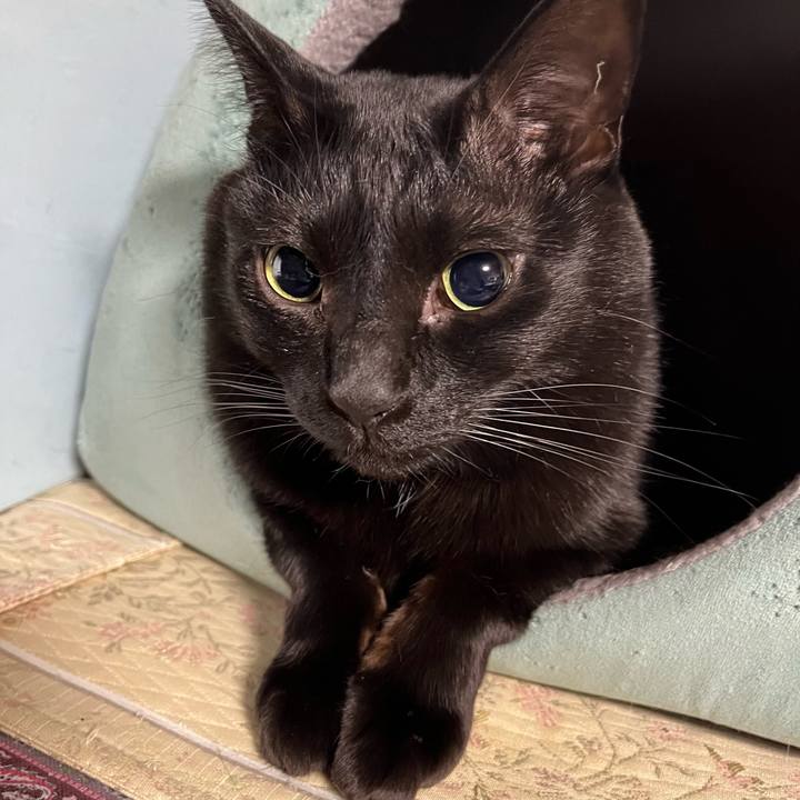 Fbd1a6c3 f5f7 4f76 b1e0 d6376ec8e78e 1765587891936