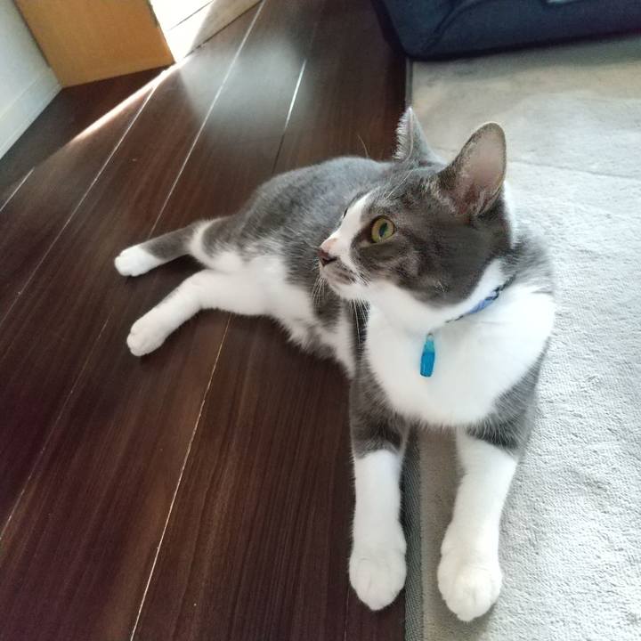 Fbd1aa12 af47 4fc9 bf2a 130cd79217a0 1603667552311