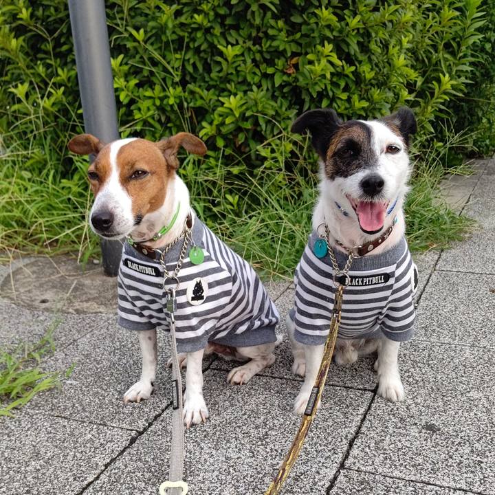 Fbd1ada0 90ea 4792 9079 8cbf70d8ace9 1659823227457