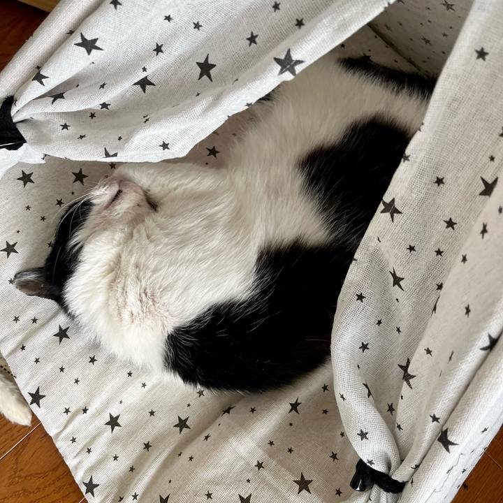 Fbd1c2ff a0a8 4de6 92da 5c565c98d829 1642217596719