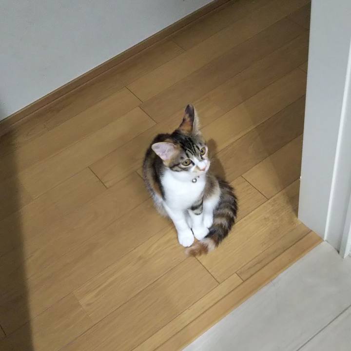 Fbd1dbb9 3f32 4c72 8f61 387ceed8fbca 1636505103339