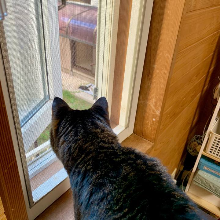 Fbd1f428 39ae 4c4a b811 f31a8a3cf2ac 1634170428461