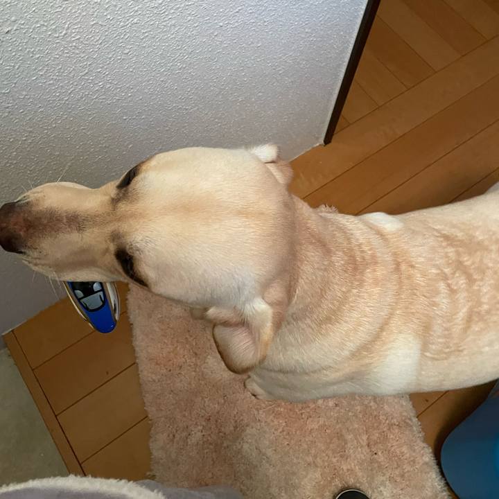 Fbd1f5e5 b9f6 4bab 86e3 e2c46d94321c 1644543698432