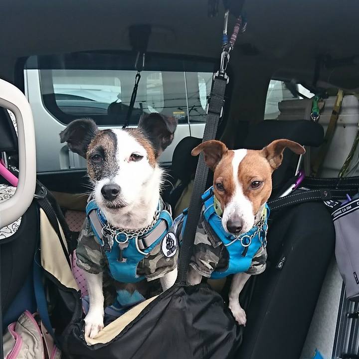 Fbd23a82 fe26 441e ab82 297a823efbd3 1576362838336