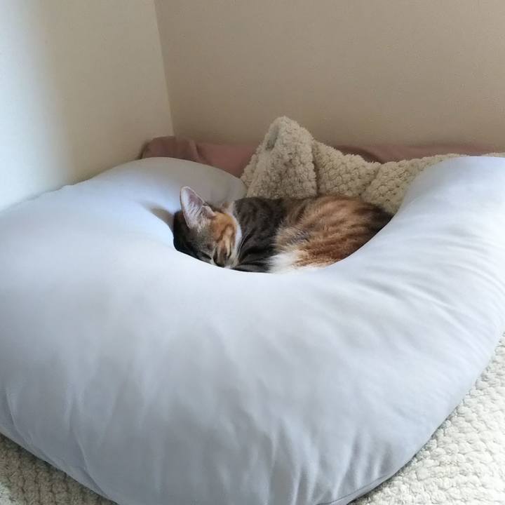 Fbd2837d fd27 4b52 bca7 3b70e92b7909 1636518121006