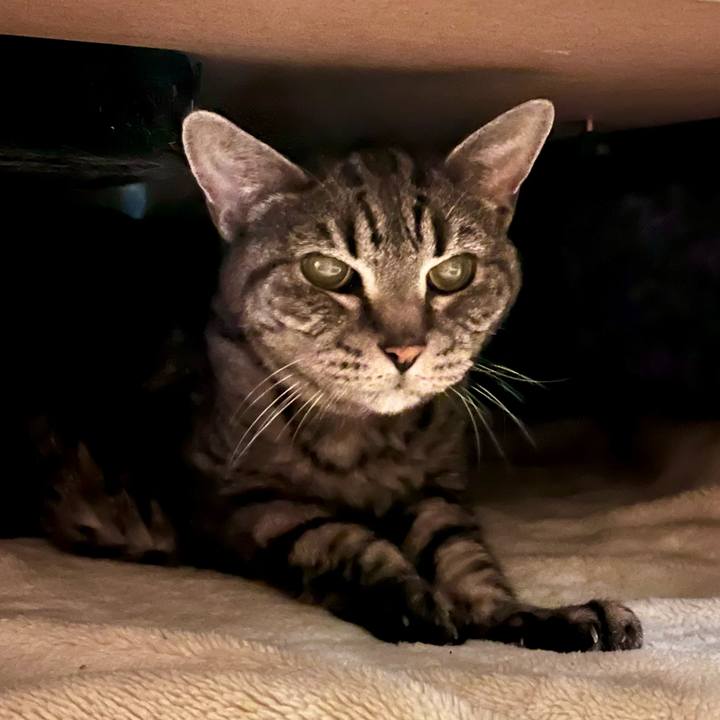 Fbd2886d eaae 402d 9e8c 1156383628f7 1762524289732