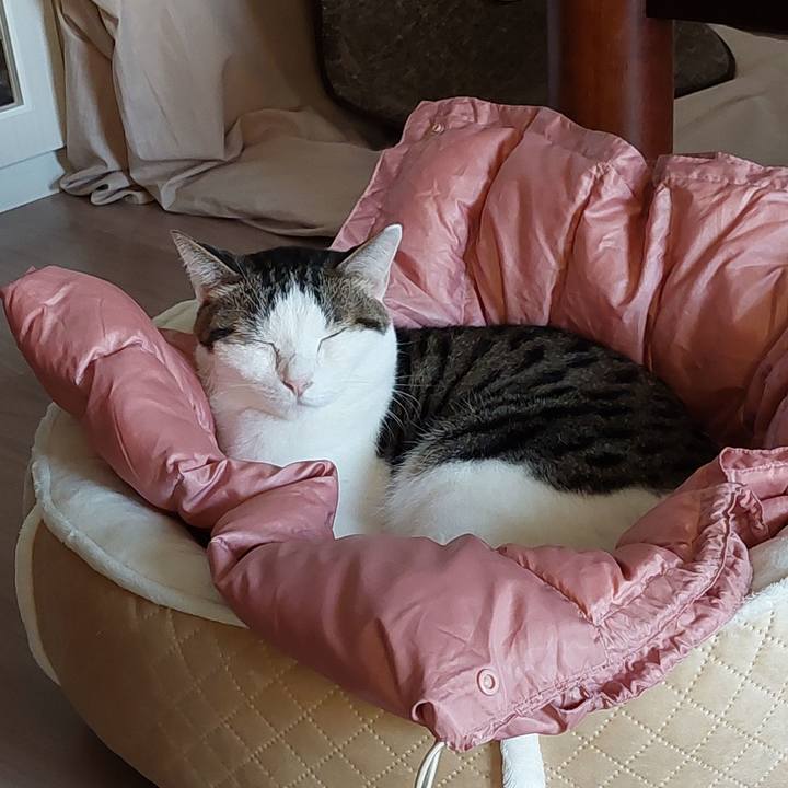 Fbd2a6eb 9a32 4062 bfe0 37b30b3968d9 1668722744136