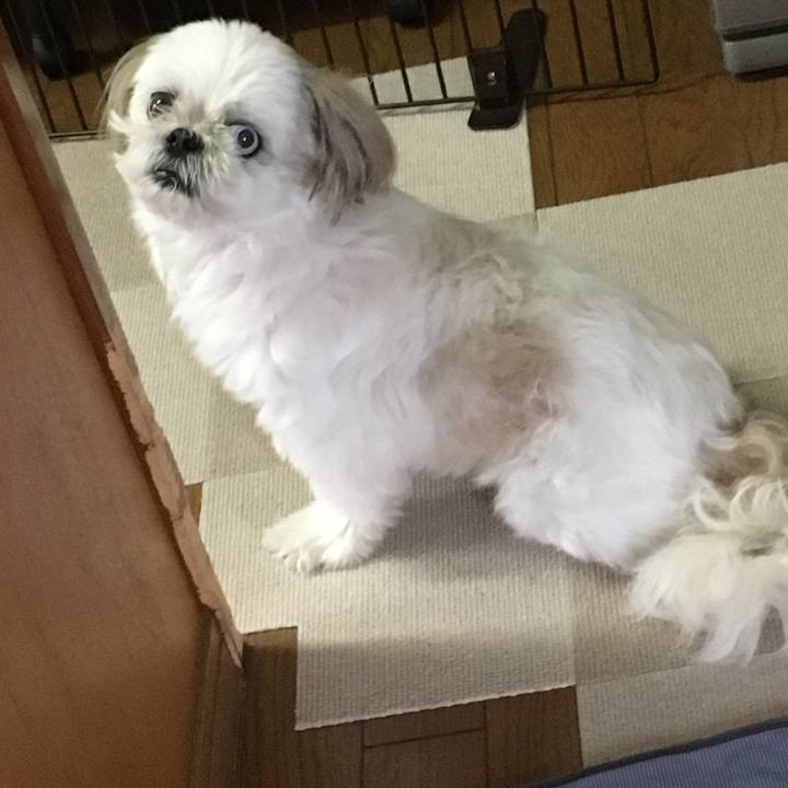 Fbd2accd e428 42d5 8a77 257a16fb4595 1595415024191