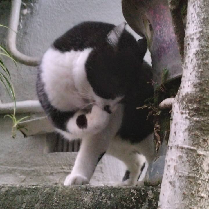 Fbd2c19e 75d6 403f bd2c 560aabf6021f 1700380407084