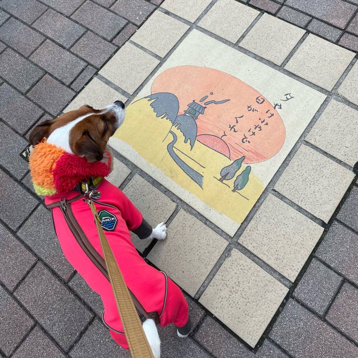 Fbd2ec54 6ec8 43d3 a724 9aa2f24f28b3 1646545381484