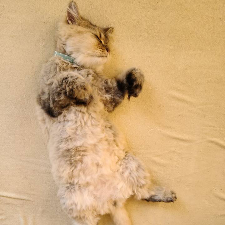 Fbd3255e 3488 4c89 b995 d6ae0ac926f1 1627368710222