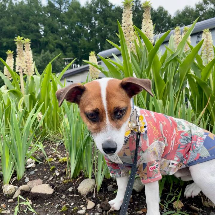 Fbd32884 e307 4397 b88d ee09bfd028a9 1629014864269