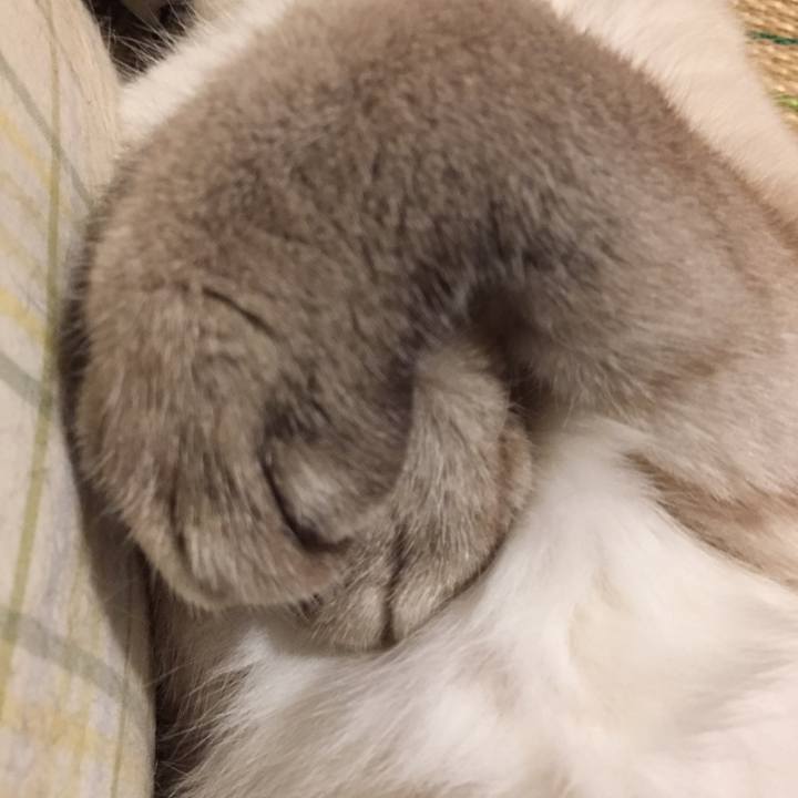 Fbd330df 4671 4e15 aa5b e22e97f52efe 1566656275208