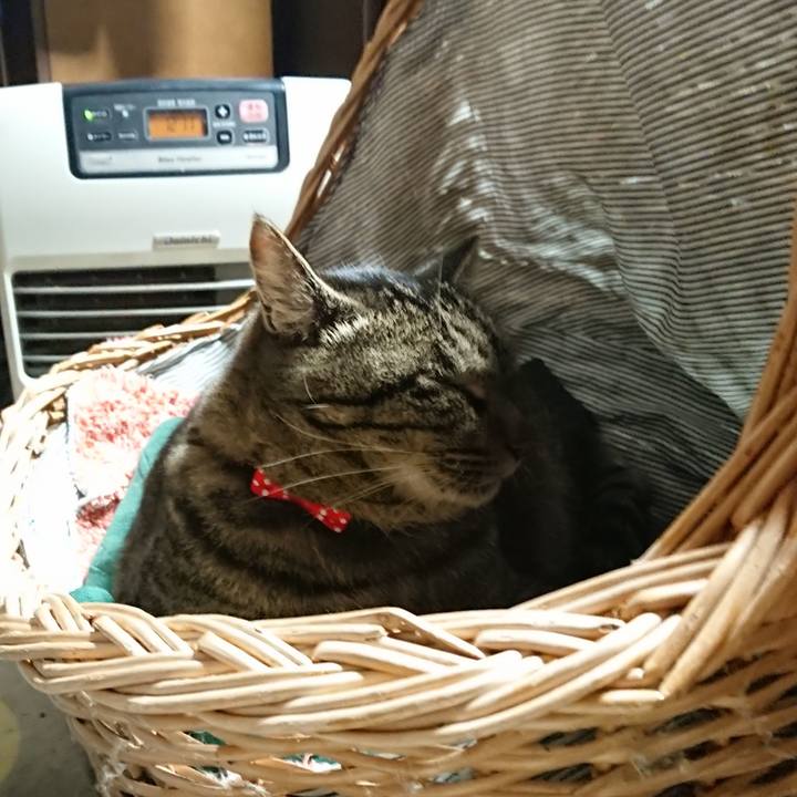 Fbd33484 8191 429d b071 9a9328ce8660 1640690120397