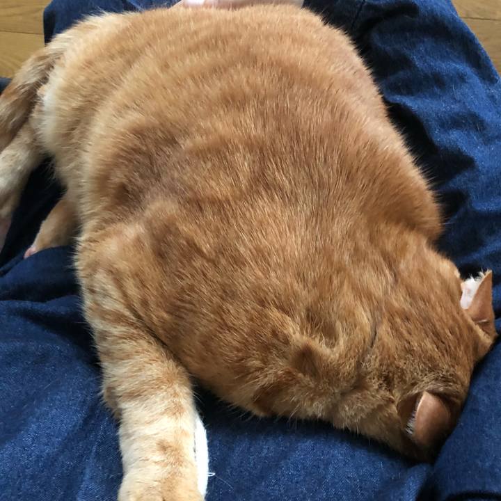 Fbd3393c a684 45fa a178 a3bcbc64bb99 1650792052279