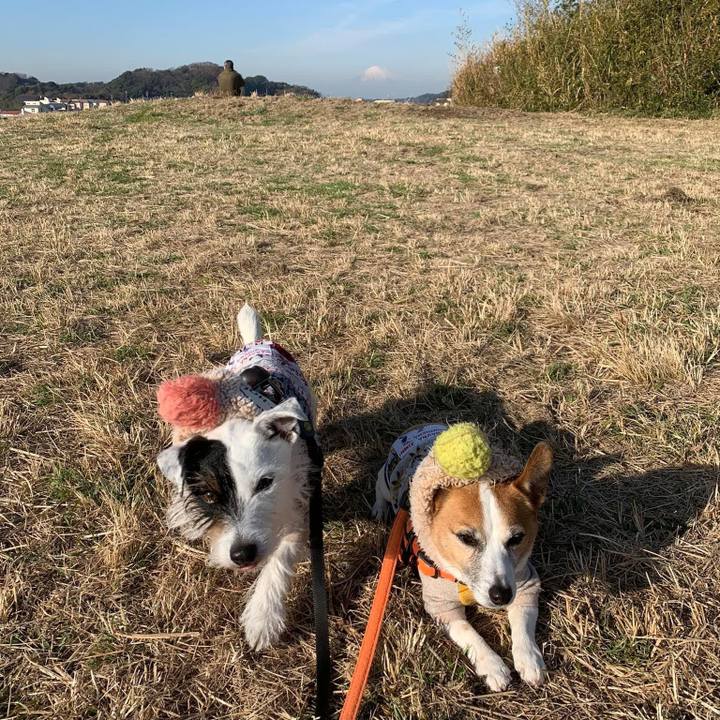 Fbd35467 ce91 47b6 bb56 d5751f7d8090 1671190635712